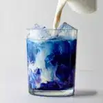 Iced Butterfly Pea Flower Tea Latte Recipe