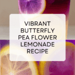 Butterfly Pea Flower Lemonade Recipe