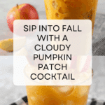 Cloudy Pumpkin Patch Cocktail Recipe
