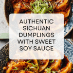 Sichuan Dumplings (钟水饺, Zhong Shui Jiao) Recipe