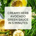5 Minute Herb Avocado Green Sauce Recipe