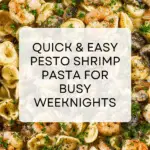 Quick and Easy Pesto Shrimp Pasta Recipe