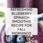 Blueberry Spinach Smoothie Recipe