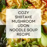 Shiitake Mushroom Udon Noodle Soup Recipe