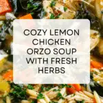 Lemon Chicken Orzo Soup Recipe