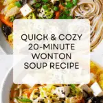 Quick 20 Minute Wonton Soup Recipe