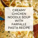 Creamy Chicken Noodle Soup Recipe