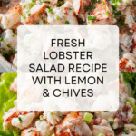 Lobster Salad Recipe