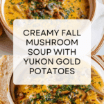 Creamy Mushroom Soup Recipe